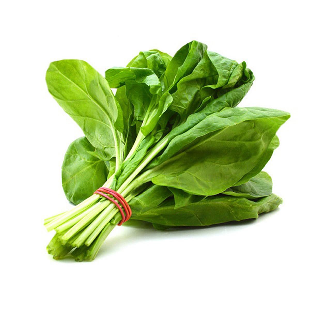 Baby Spinach Italy
