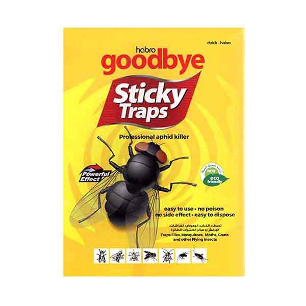 Goodbye Sticky Trap 5