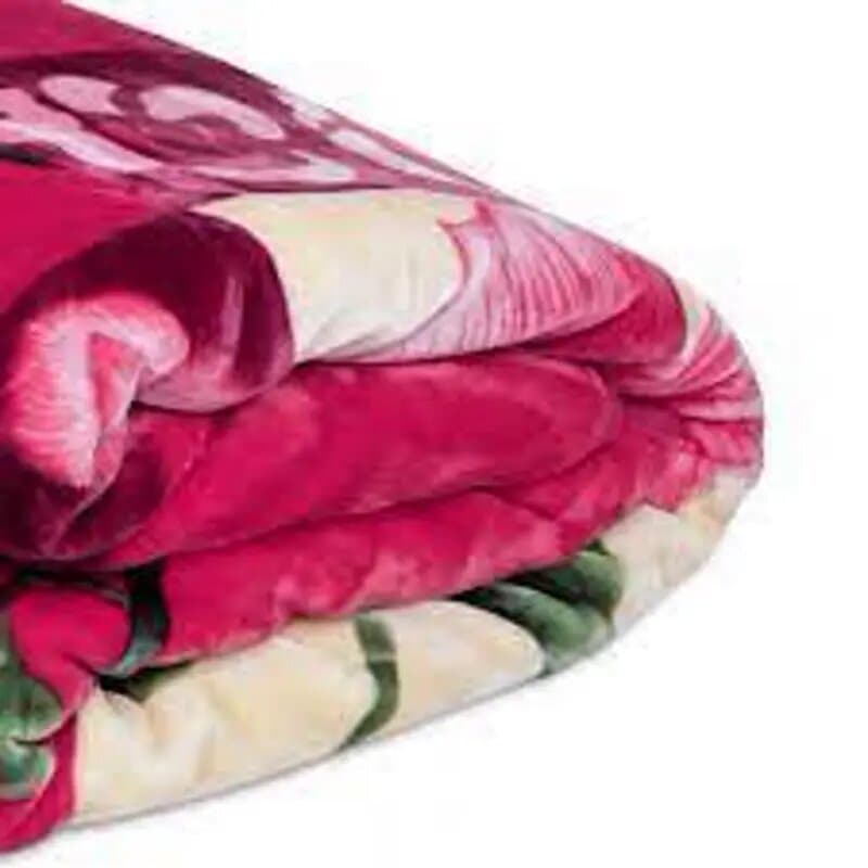 Homelee Hm B6 Double Blanket 200 x 240 2ply 6 Kg