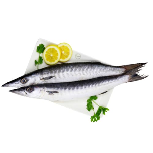 Barracuda Big Steak 500 g