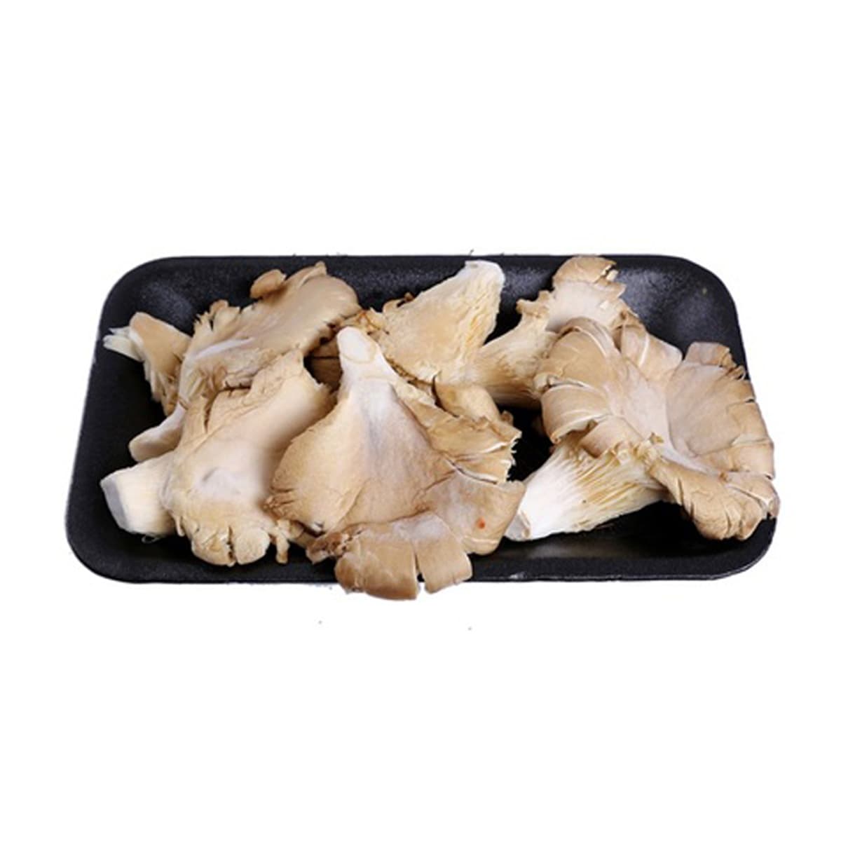 Mushroom Oyster Holland 500 g