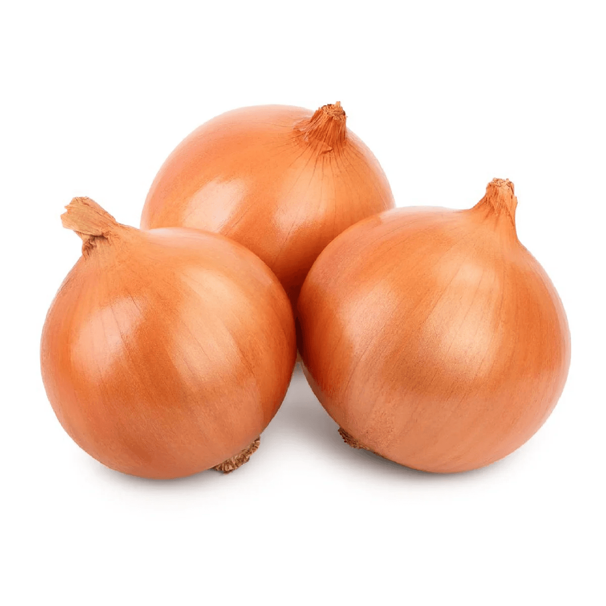 Brown Onion Spain 500 g