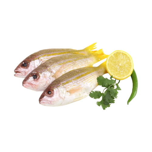 Nesser Fish Medium Qatar 500 g