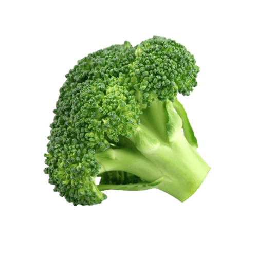 Broccoli Farm Qatar