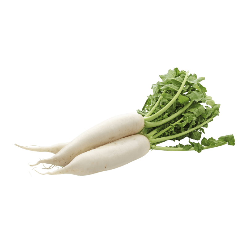 White Radish Farm Qatar 500 g