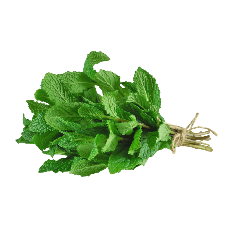 Mint Leaves Farm Qatar 100 g