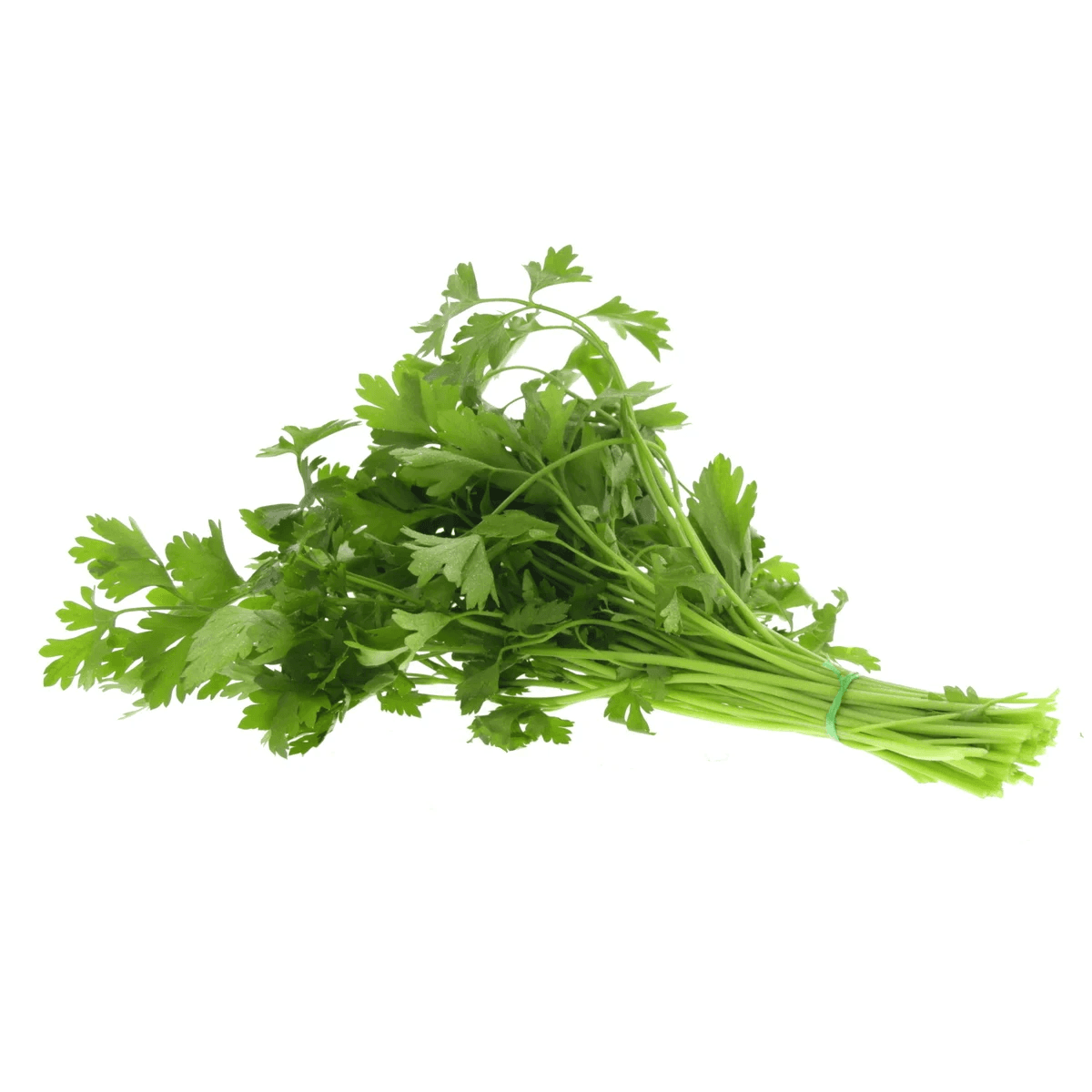 Parsley Leaves Farm Qatar 100 g
