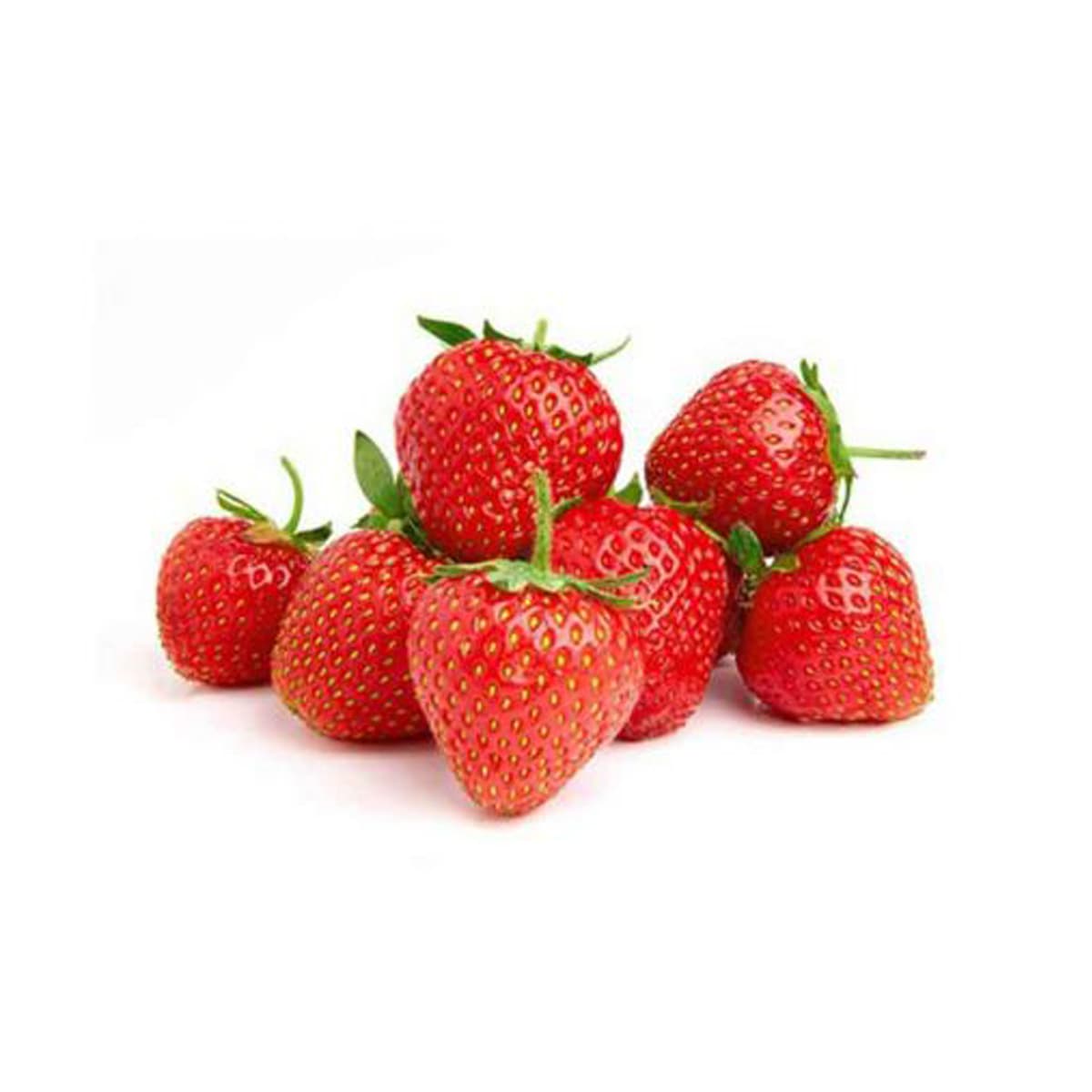 Strawberry Morocco Small Pack