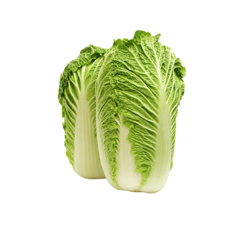 Chinese Cabbage Holland 500 g