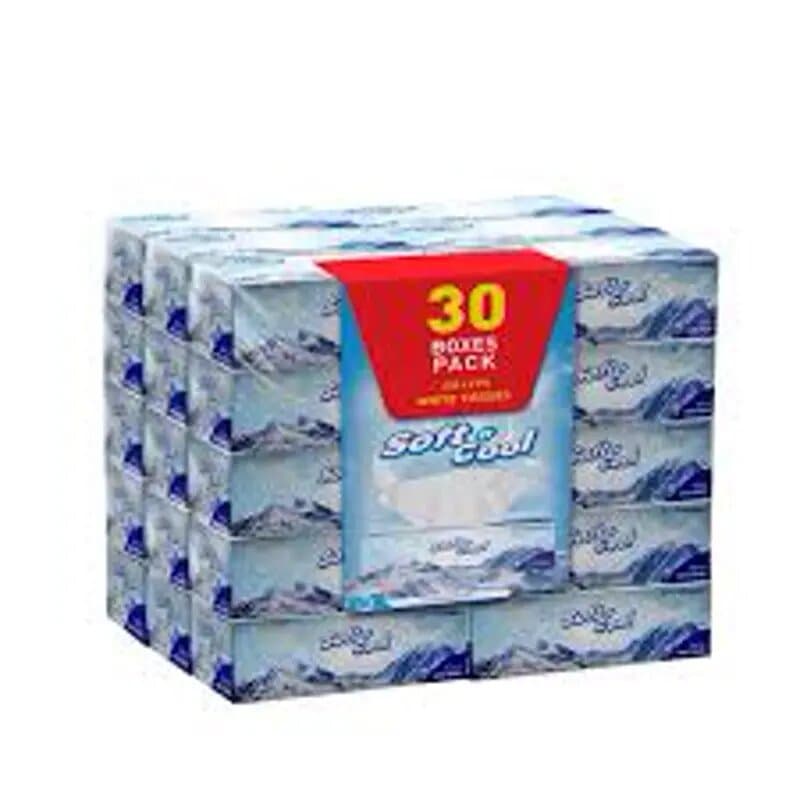 Gpack Facial Tissue 2ply x 200 sheets
