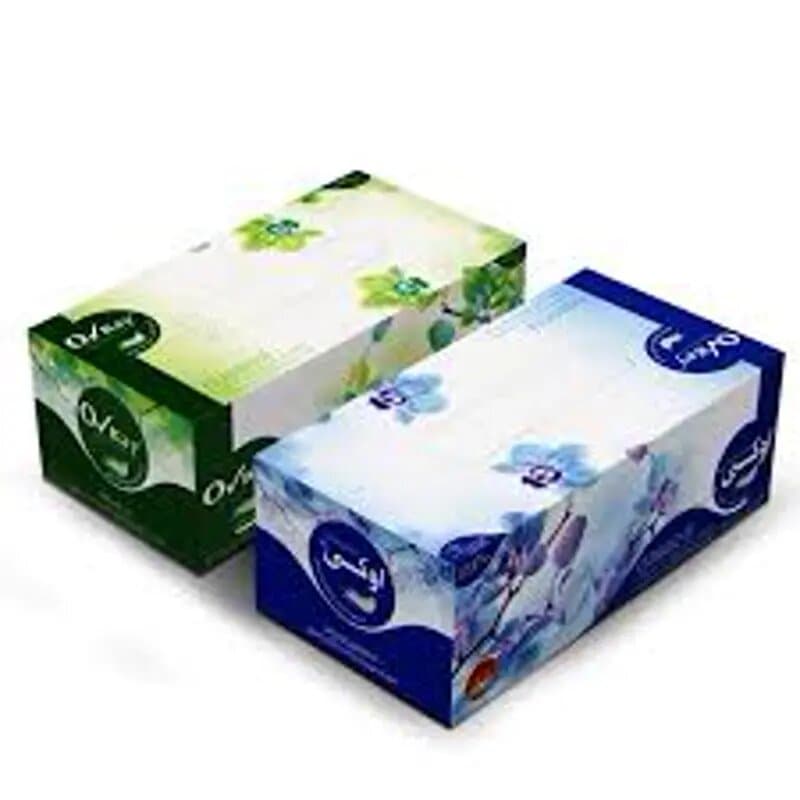 Nice Facial Tissue 2ply 200 Sht(180mm X 180mm)x 5 Pc