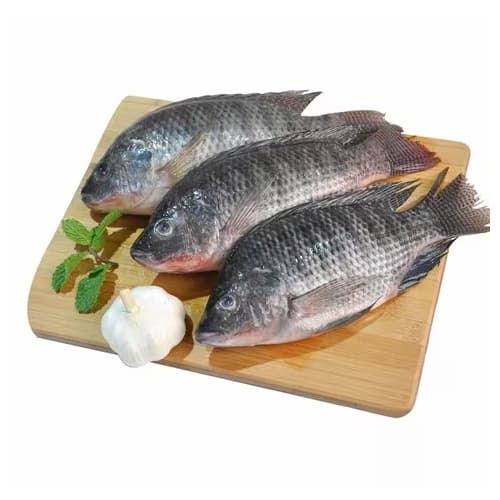 Tilapia Egypt 500 g