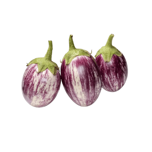 Eggplant Star Farm Qatar 500 g