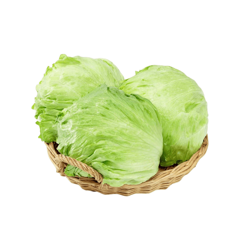 Lettuce Iceberg Oman 250 g