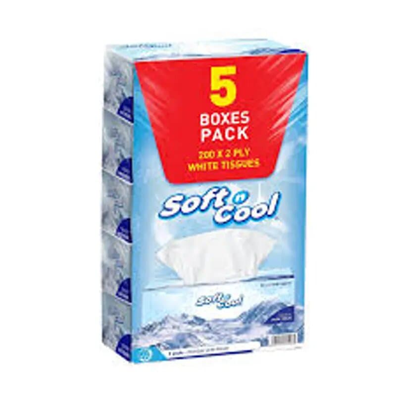 Koolberry Soft Facialtissue (premium) 2ply 200 Pc
