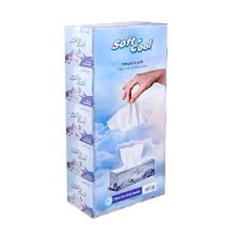 Joy 2 Ply Facial Tissues Polypack 200 Sheet x 10s