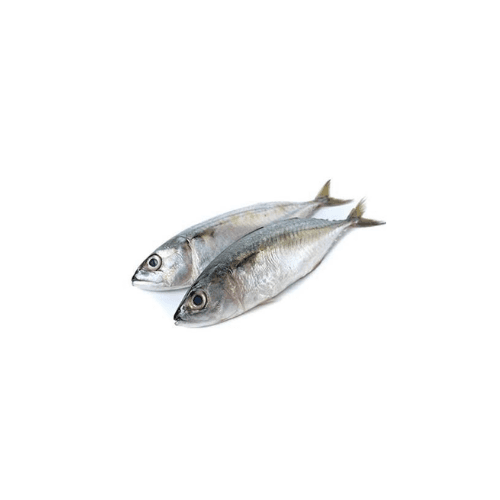 Mackerel Uae 500 g