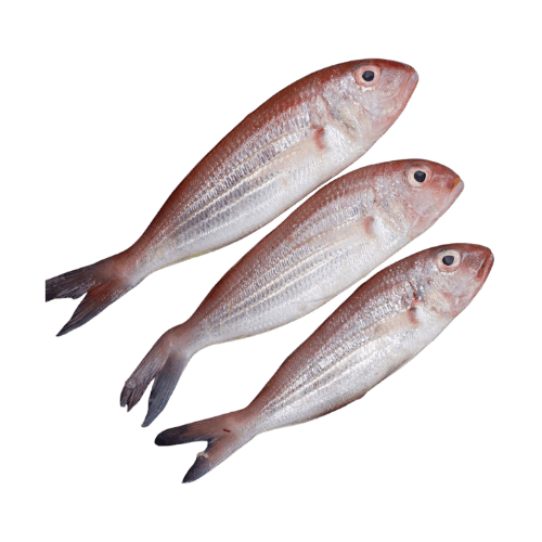 Sulthan Basi KSA 500 g
