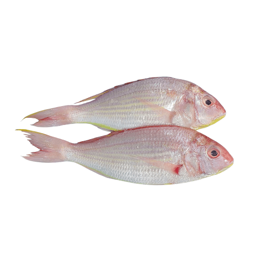 Sultan Basi UAE 500 g