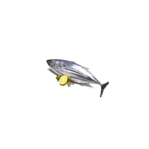 Tuna Uae 1 Kg