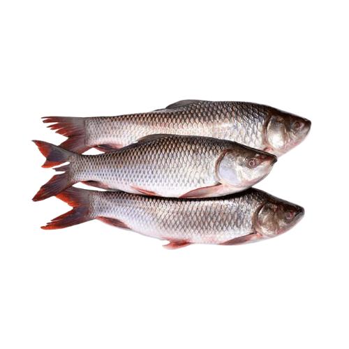 Rohu UAE 500 g